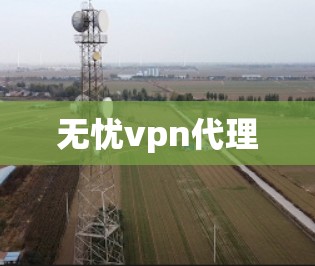 无忧vpn代理