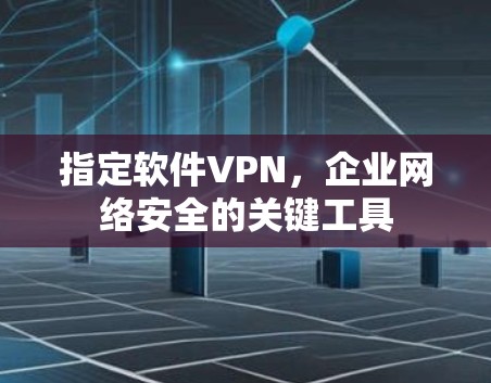 指定软件VPN,企业网络安全的关键工具 指定软件VPN,企业网络安全的关键工具