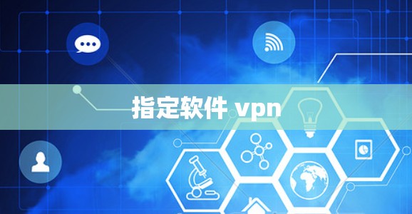 指定软件 vpn