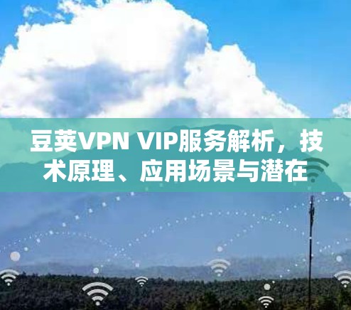 豆荚VPN VIP服务解析，技术原理、应用场景与潜在风险
