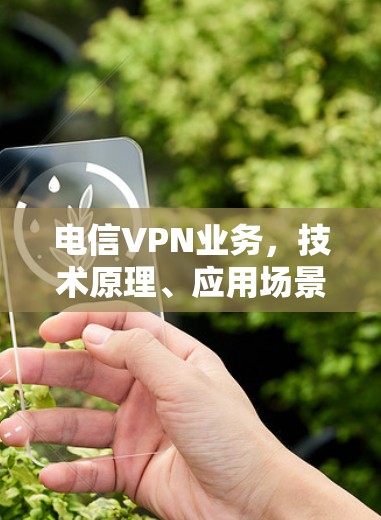 电信VPN业务，技术原理、应用场景与发展趋势
