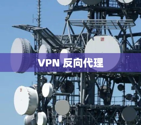 VPN 反向代理