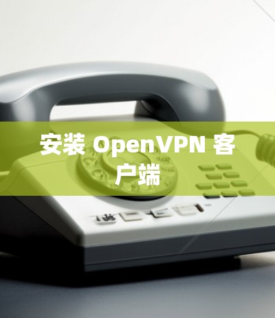 安装 OpenVPN 客户端 安装 OpenVPN 客户端